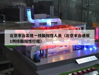 北京丰台出现一核酸阳性人员（北京丰台通报1例核酸阳性行程）