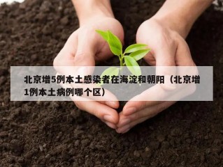 北京增5例本土感染者在海淀和朝阳（北京增1例本土病例哪个区）