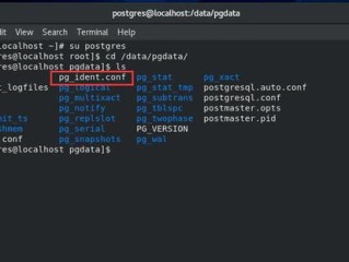 pg集团免费版V9.60.106.61安卓系统版本-好用