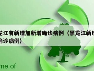 黑龙江有新增加新增确诊病例（黑龙江新增本地确诊病例）