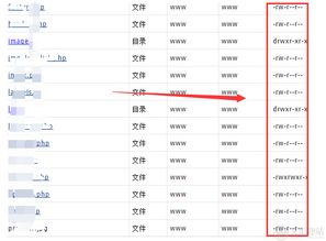 777老虎机单机免费绿色版V4.36.212.89安卓系统版本-推荐 777老虎机单机免费绿色版V4.36.212.89安卓系统版本-推荐